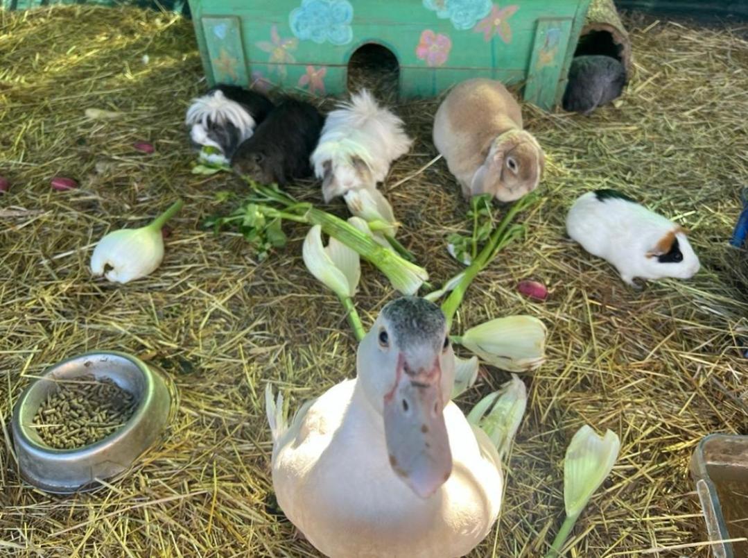 הוילה Jouques Sejour A La Ferme מראה חיצוני תמונה